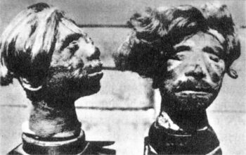 Shrunken Heads, as presented by U.S. forces at the Buchenwald Camp